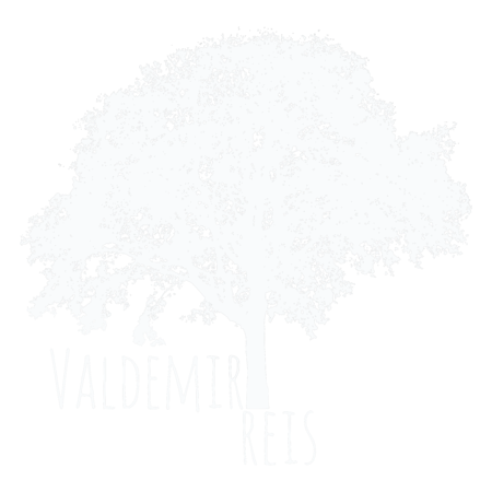 Logo de Fotógrafo de Casamento, Valdemir Reis, São José do Rio Preto