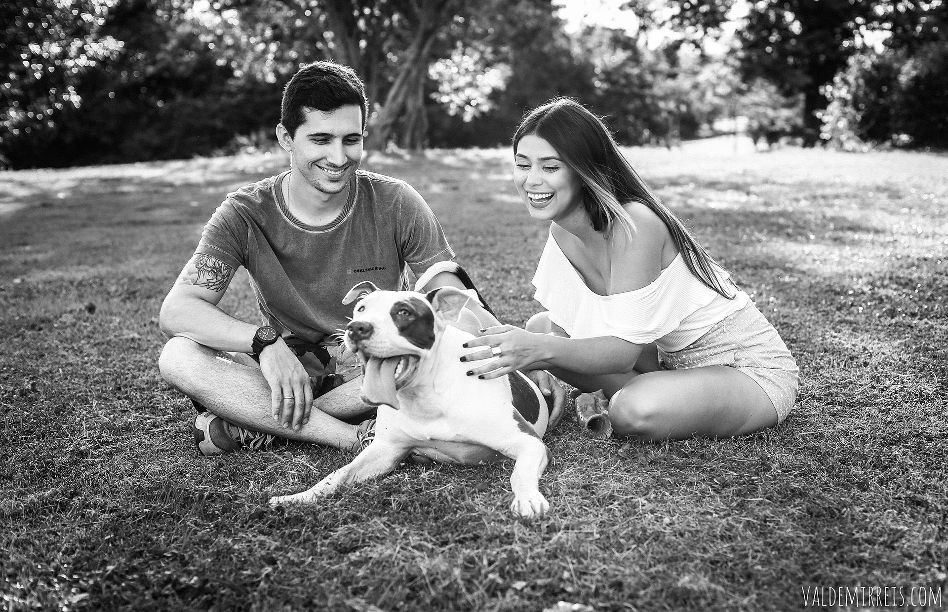 Foto Ensaio Pet Foto Ensaio Pet - Imagem 5