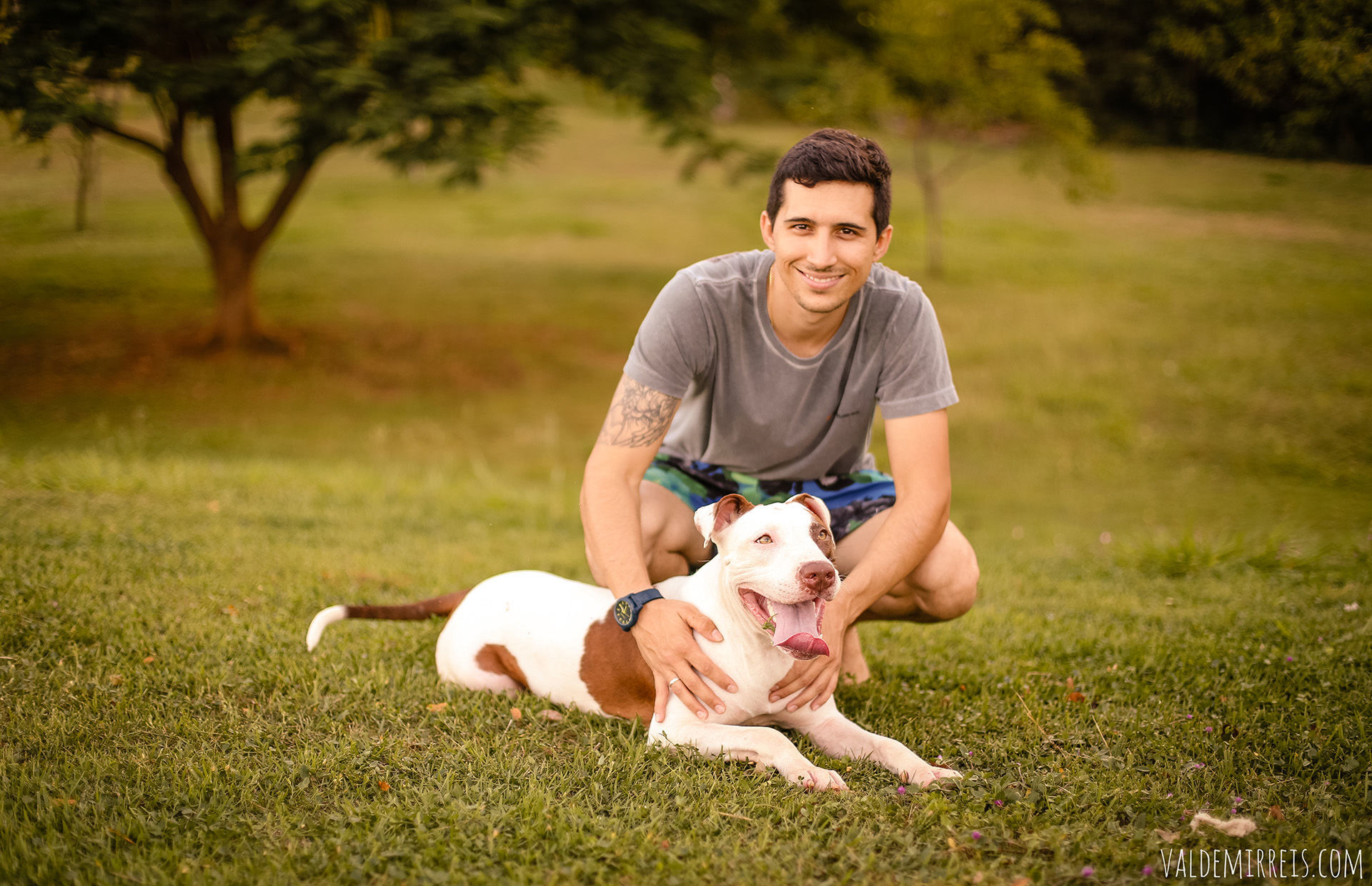 Foto Ensaio Pet Foto Ensaio Pet - Imagem 13