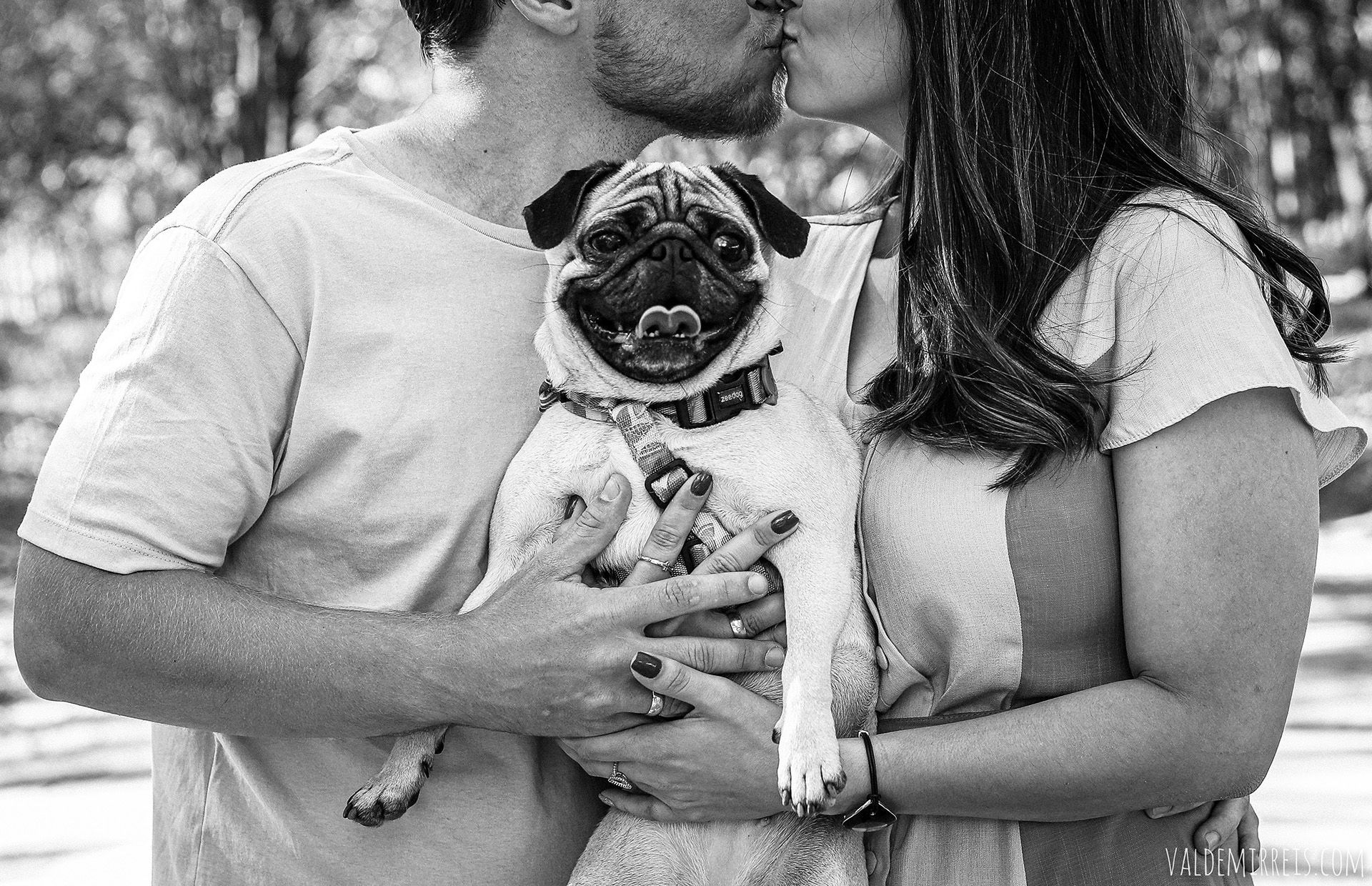 Foto Ensaio de Casal | Plantação de Seringueiras | Guapiaçu SP | Gabriela + Gabriel Foto Ensaio de Casal | Plantação de Seringueiras | Guapiaçu SP | Gabriela + Gabriel - Imagem 9