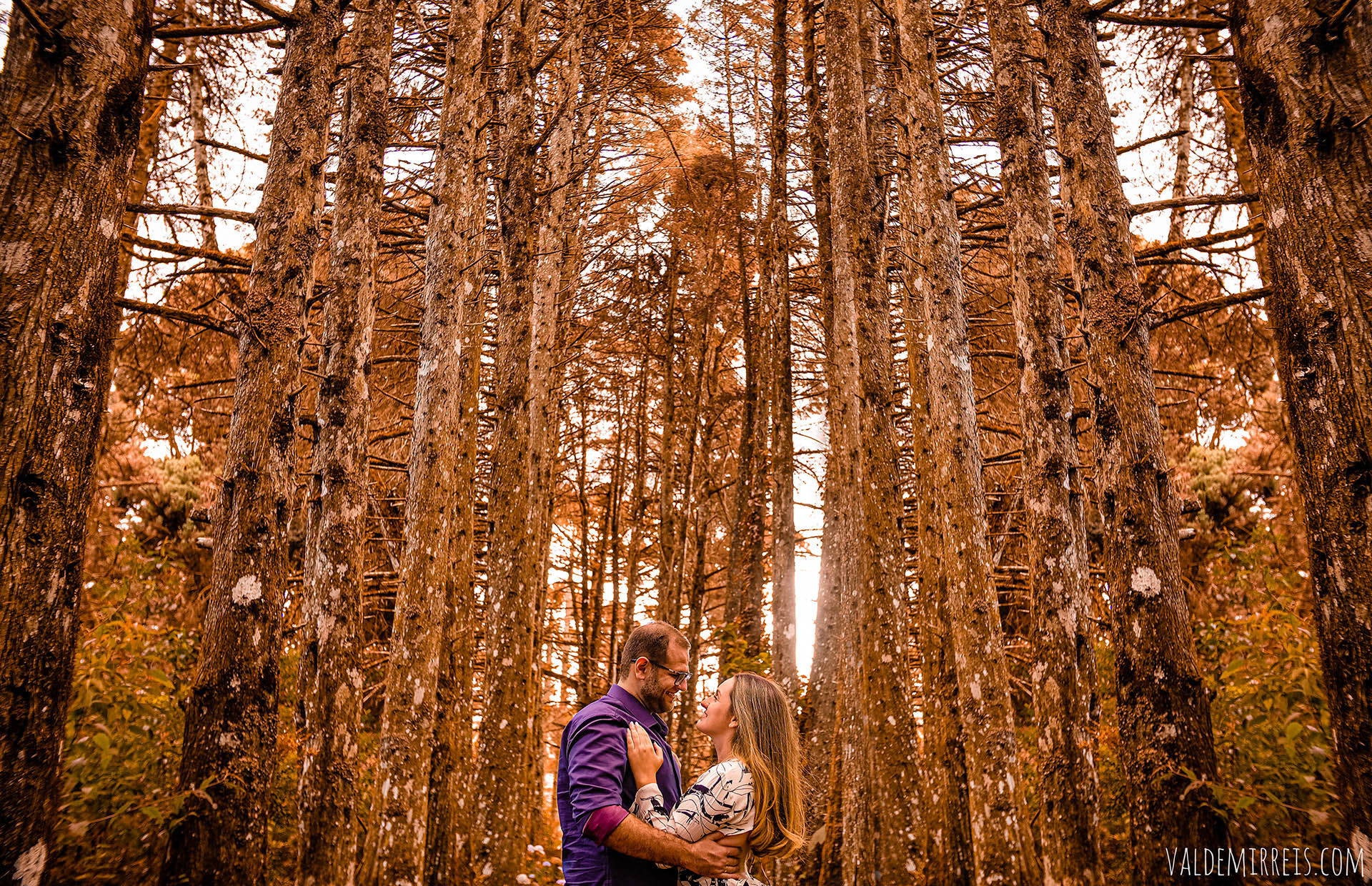 Foto Ensaio de Casal | Campos do Jordão SP | Mayara + Guilherme Foto Ensaio de Casal | Campos do Jordão SP | Mayara + Guilherme - Imagem 2